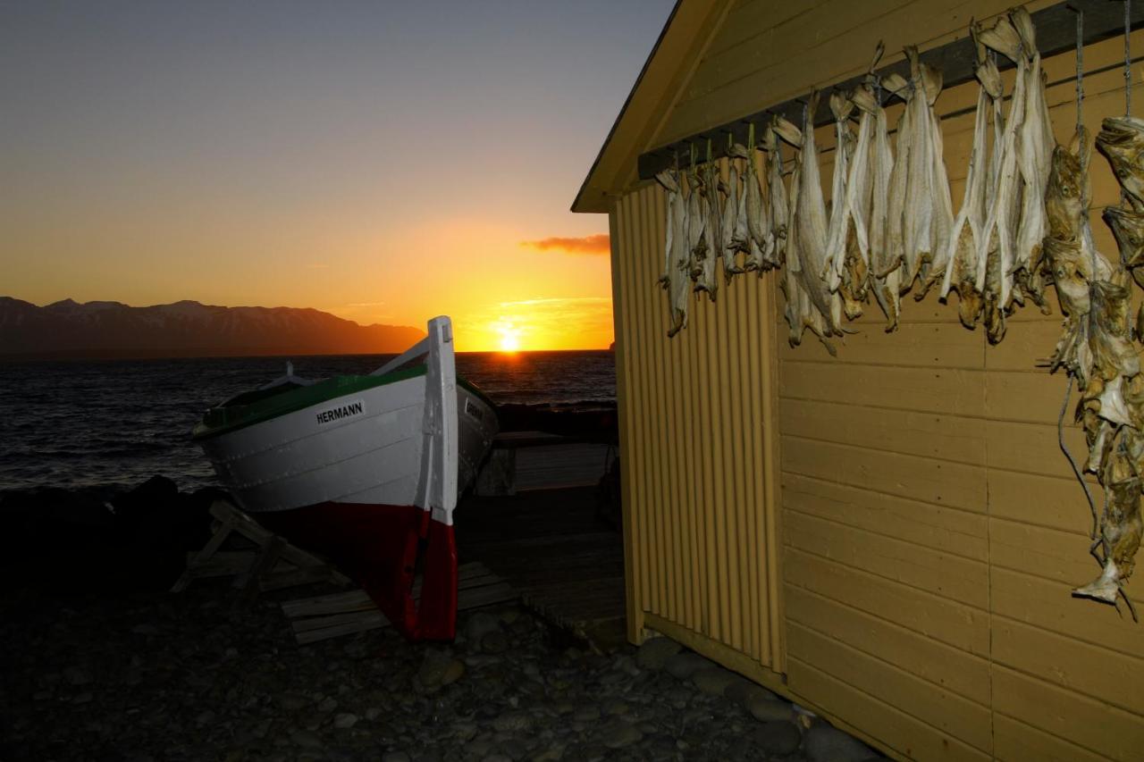 Grenivik Guesthouse Exterior photo